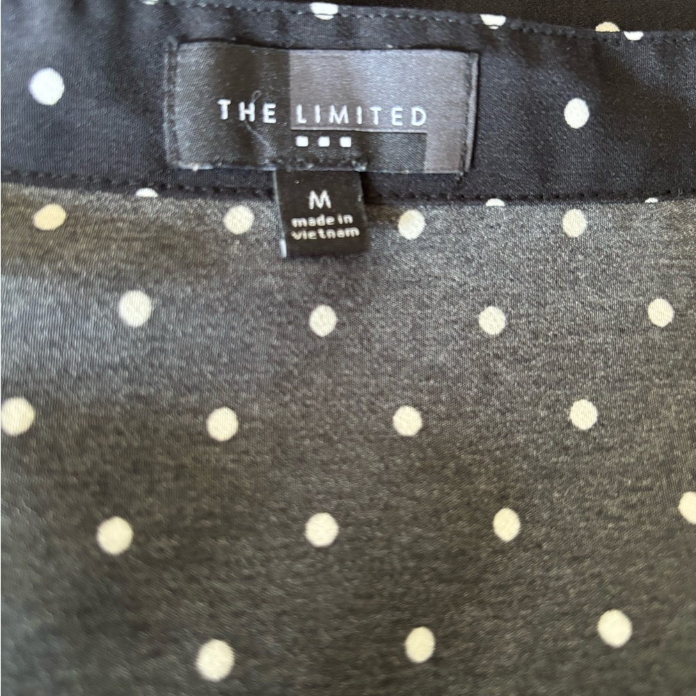 The Limited | Black and White Polka Dot Dress - Picture 4 of 6